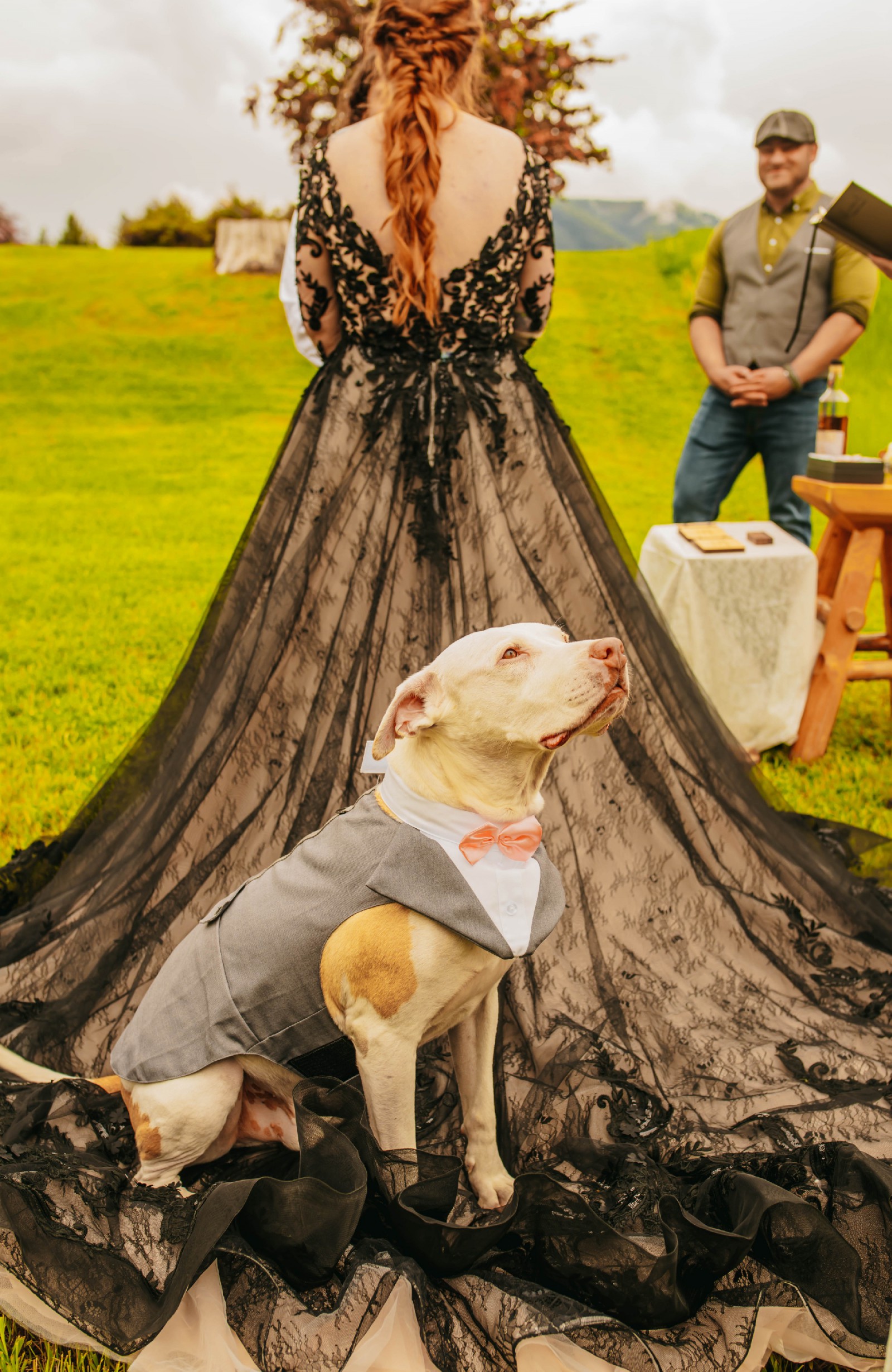 Maggie Sottero, Zander Black Wedding Dress Save 67% Stillwhite