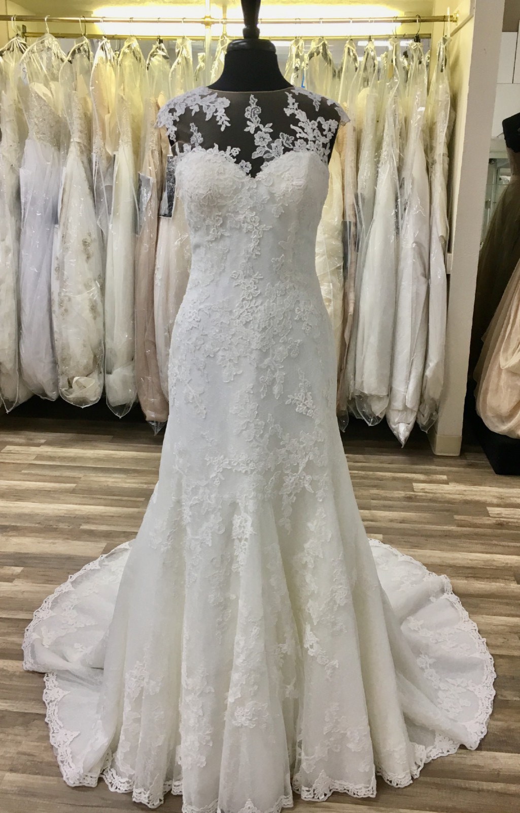 Pronovias Pladie New Wedding Dress Save 78% - Stillwhite