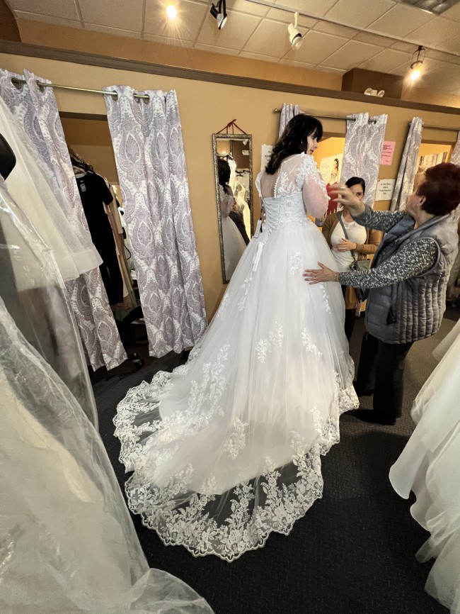 DeKlaire Bridal 448 V-Neckline Mermaid Wedding Dress