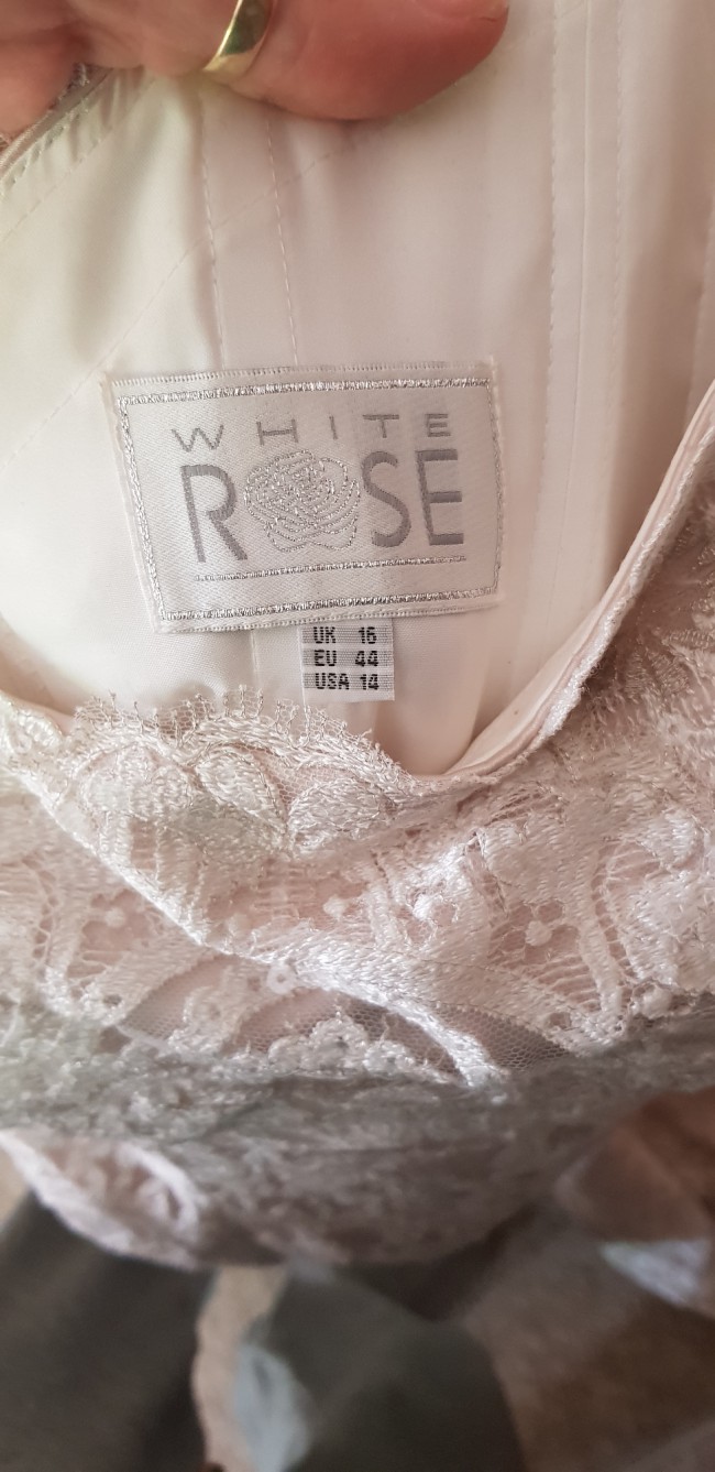 White Rose R1105
