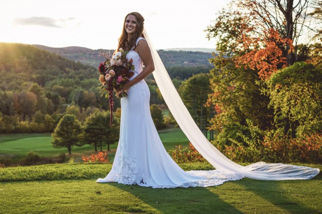 sv830 david's bridal