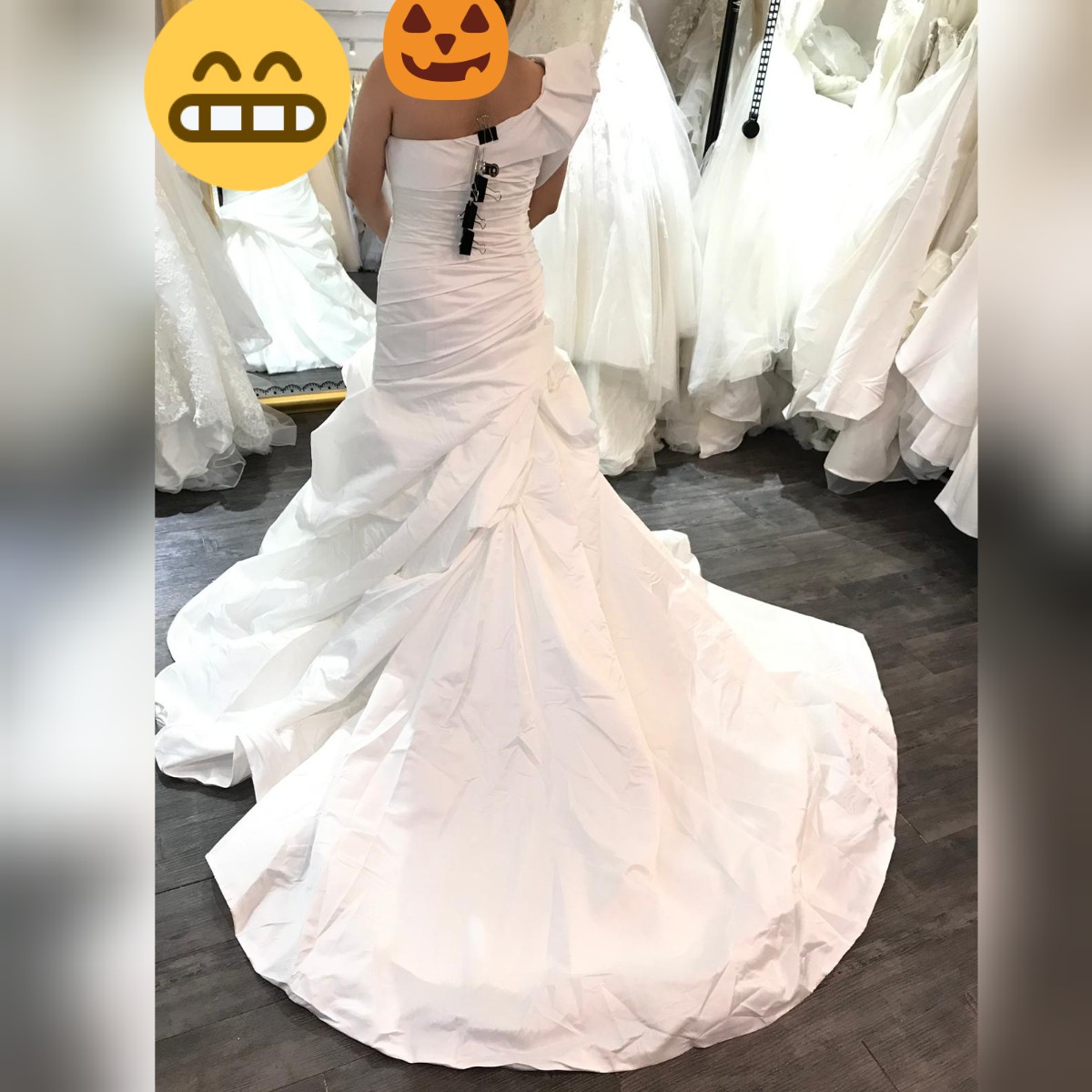 Pronovias Alora New Wedding Dress Stillwhite