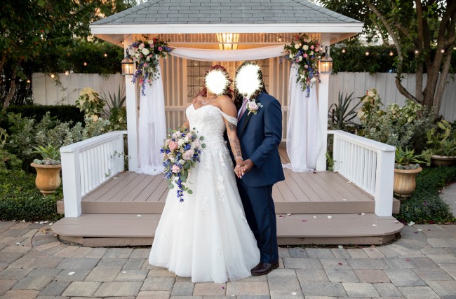 david's bridal v3902