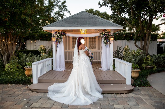 david's bridal v3902