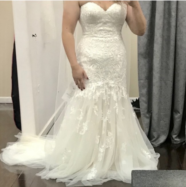 stella york 6470