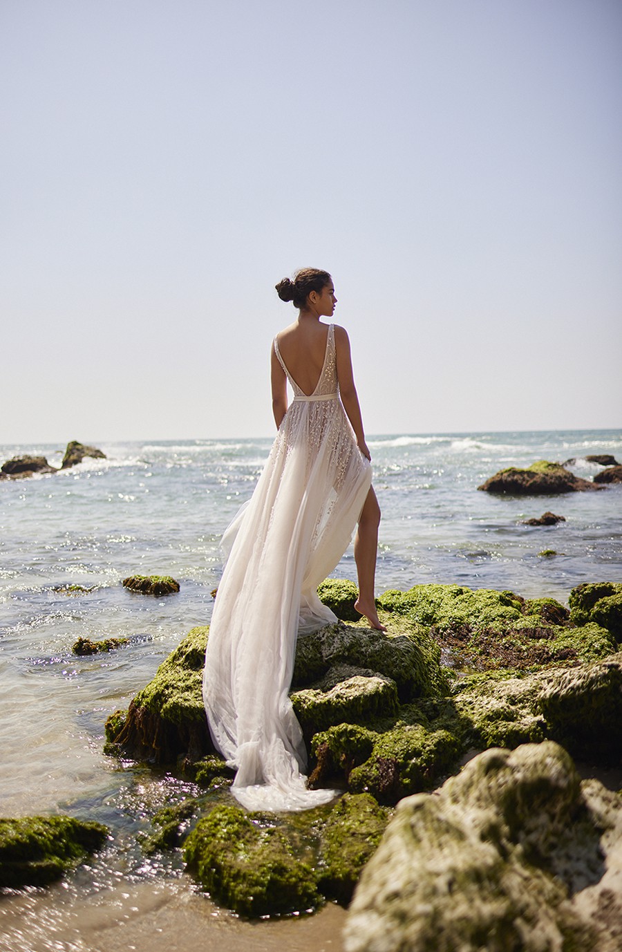 Dana Harel Dana Harel
