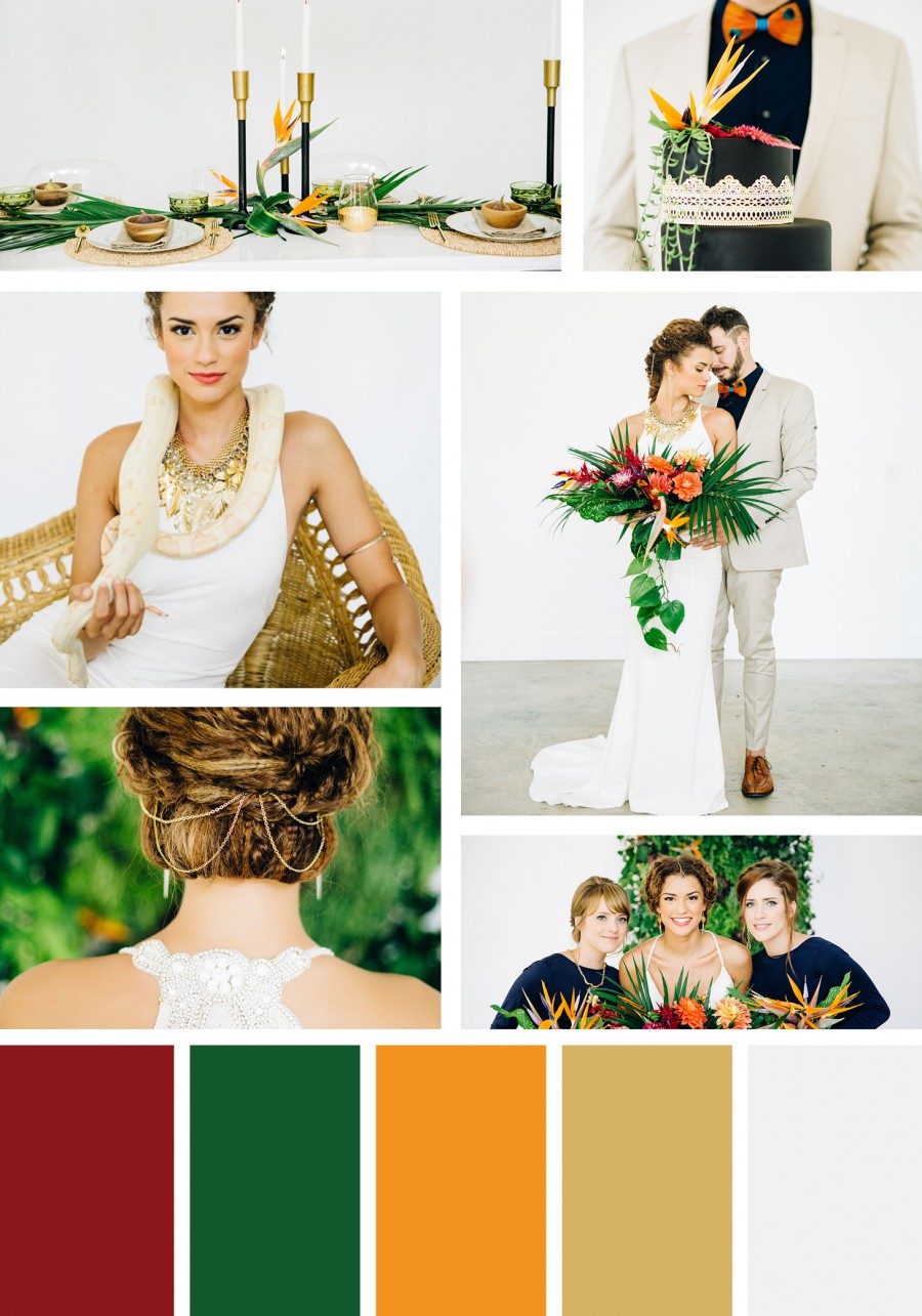 Modern Lush Modern Lush
