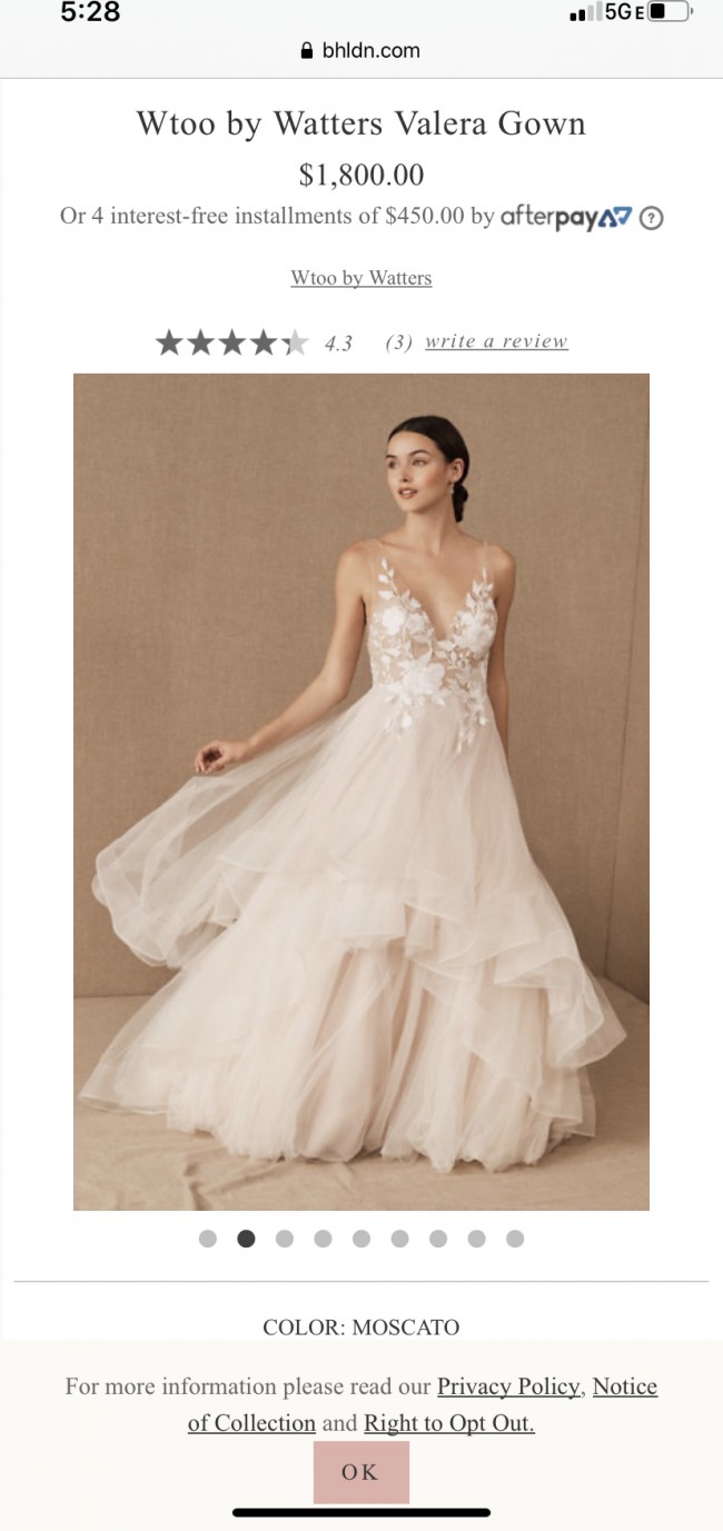 bhldn valera gown