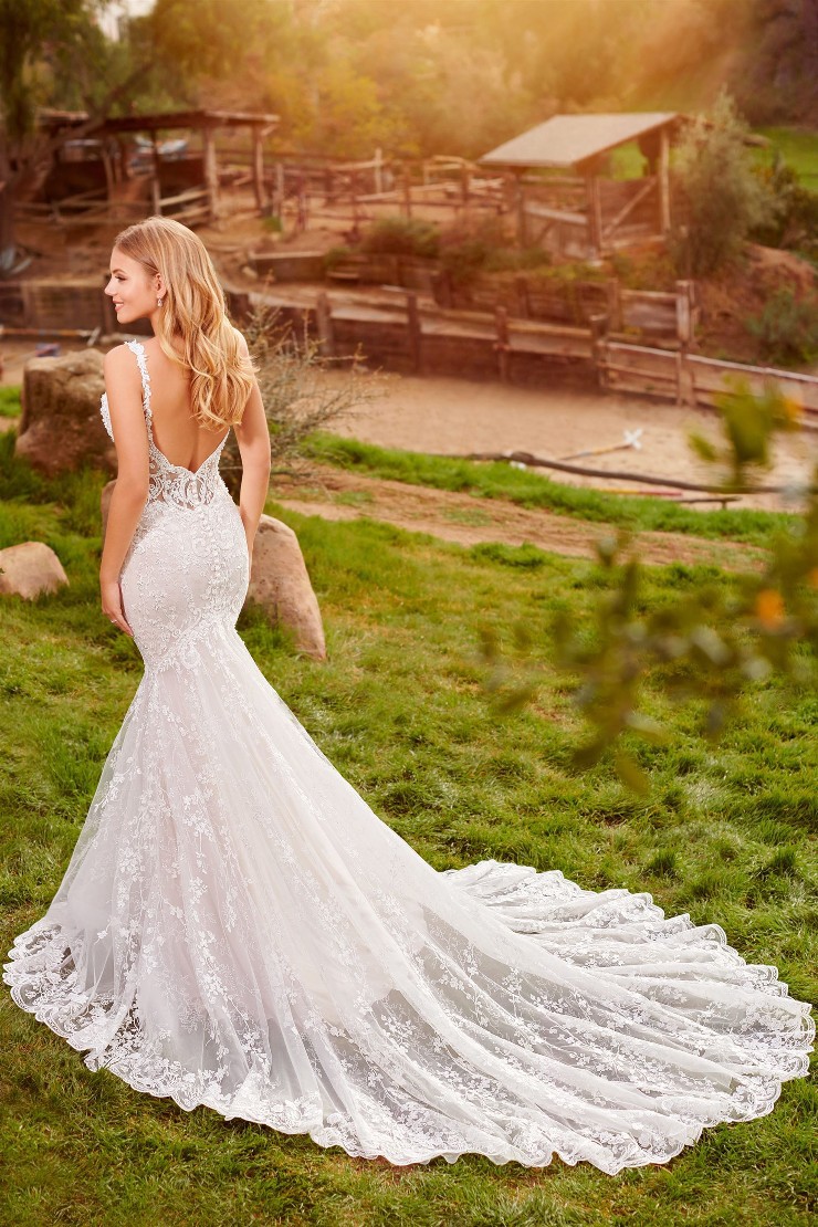 schiffli lace wedding dress Sheath Wedding Dresses